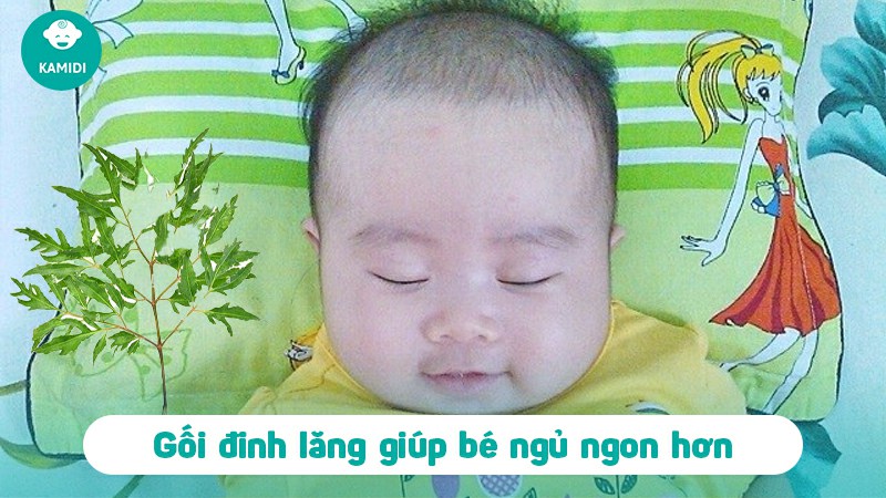Cách làm gối cho bé bằng lá đinh lăng đơn giản tại nhà 2 cach-lam-goi-cho-be-bang-la-dinh-lang-1