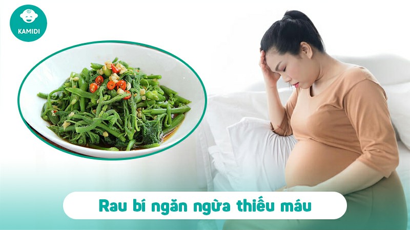 Bầu ăn rau bí được không? Công dụng tuyệt vời của rau bí với phụ nữ mang thai 4 bau-an-rau-bi-duoc-khong-3