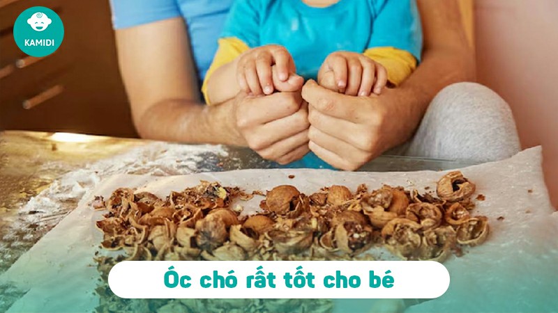 cach-nau-chao-qua-oc-cho-cho-be-2