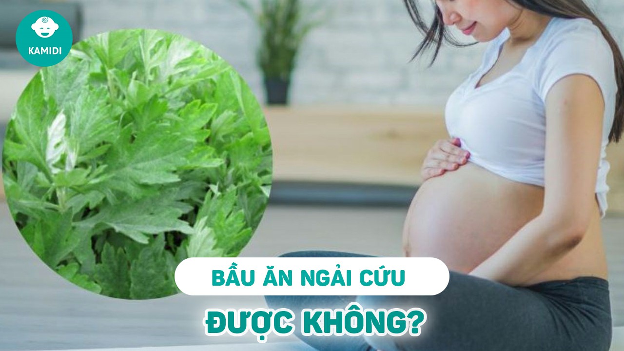 bau-co-an-duoc-ngai-cuu-khong