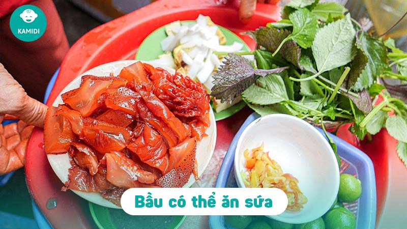 Bầu ăn sứa được không? Lợi ích của sứa đối với mẹ bầu 2 bau-an-sua-duoc-khong-1