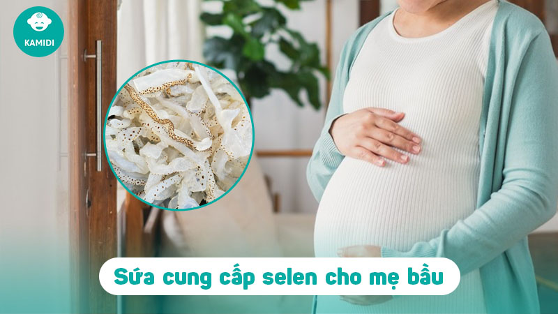 Bầu ăn sứa được không? Lợi ích của sứa đối với mẹ bầu 3 bau-an-sua-duoc-khong-2