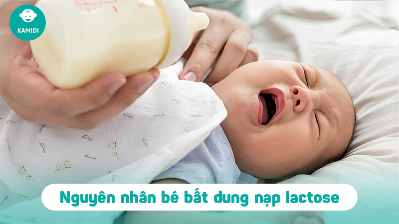 bat-dung-nap-lactose-o-tre-so-sinh-1