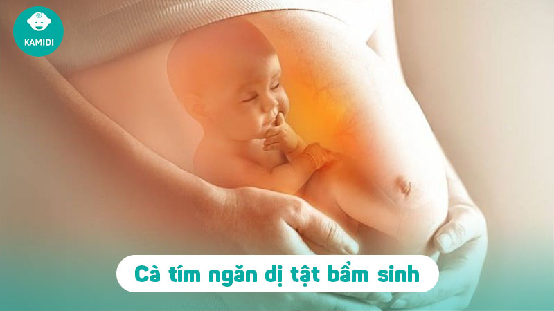 Bầu ăn cà tím được không? Lợi ích và tác hại khi mẹ bầu ăn cà tìm 3 bau-an-ca-tim-duoc-khong-3
