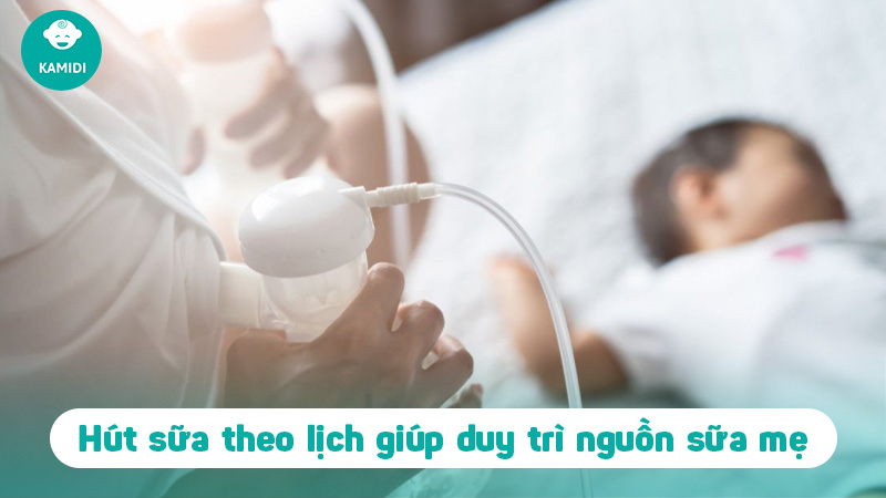 Hút sữa L4 là gì? Lịch hút sữa L4 hiệu quả chuẩn khoa học 2 hut-sua-l4-la-gi-1