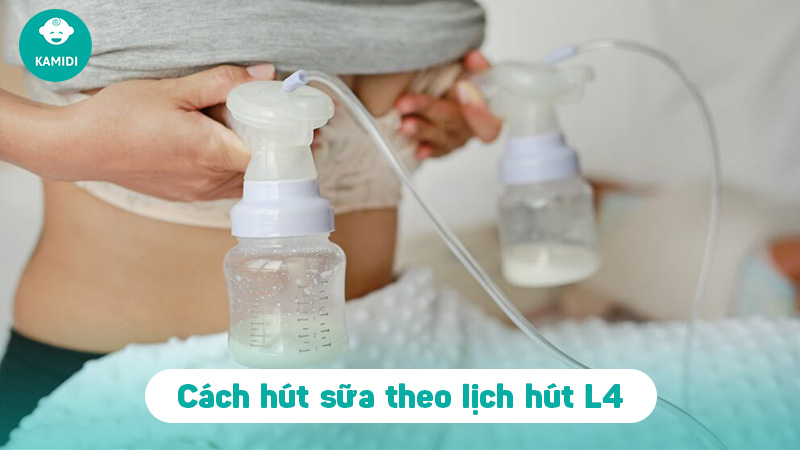 Hút sữa L4 là gì? Lịch hút sữa L4 hiệu quả chuẩn khoa học 4 hut-sua-l4-la-gi-3