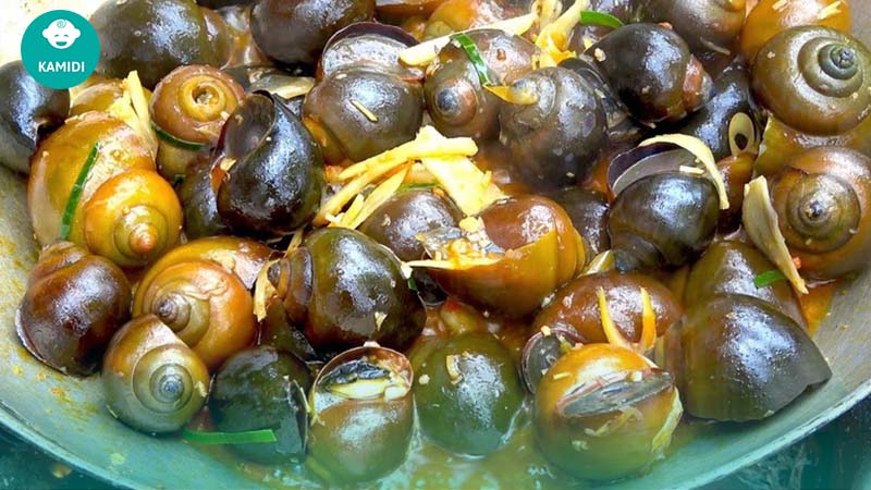 Các loại ốc bà bầu không nên ăn để tránh gây hại cho thai nhi 3 cac-loai-oc-ba-bau-khong-nen-an-2
