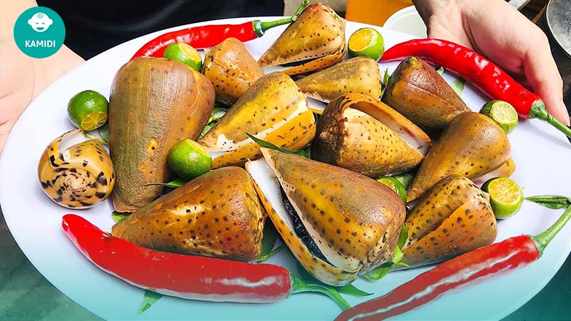 Các loại ốc bà bầu không nên ăn để tránh gây hại cho thai nhi 5 cac-loai-oc-ba-bau-khong-nen-an-3