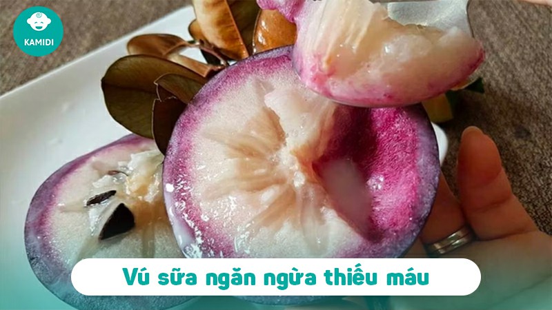 Bầu ăn vú sữa được không? Lợi ích bất ngờ khi ăn vú sữa mẹ nên biết 3 bau-an-vu-sua-duoc-khong-2