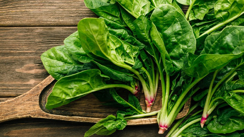 Những loại rau lợi sữa cho mẹ sau sinh không nên bỏ qua 3 nhung-loai-rau-loi-sua-cho-me-sau-sinh-2