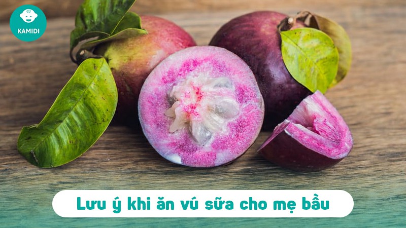Bầu ăn vú sữa được không? Lợi ích bất ngờ khi ăn vú sữa mẹ nên biết 5 bau-an-vu-sua-duoc-khong-4