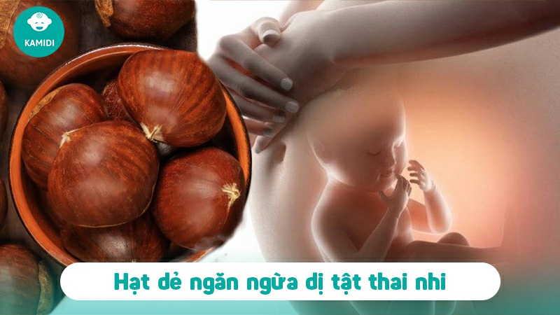 Bầu ăn hạt dẻ được không? Một số lưu ý khi ăn hạt dẻ mẹ bầu cần biết? 4 bau-an-hat-de-duoc-khong-3