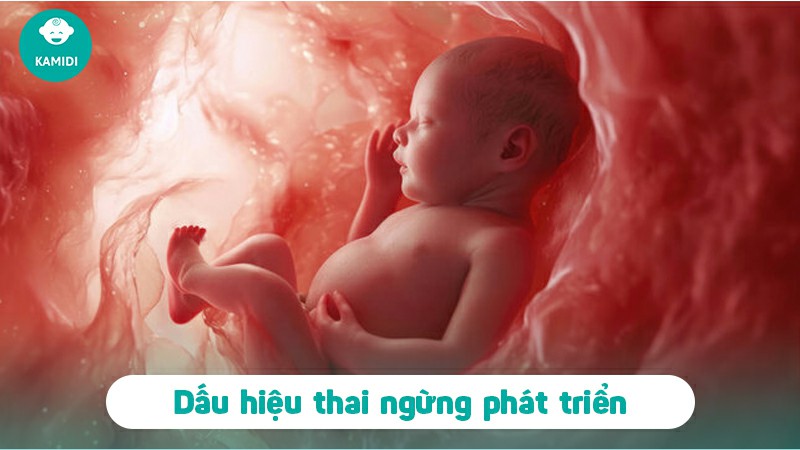 thai-ngung-phat-trien-2