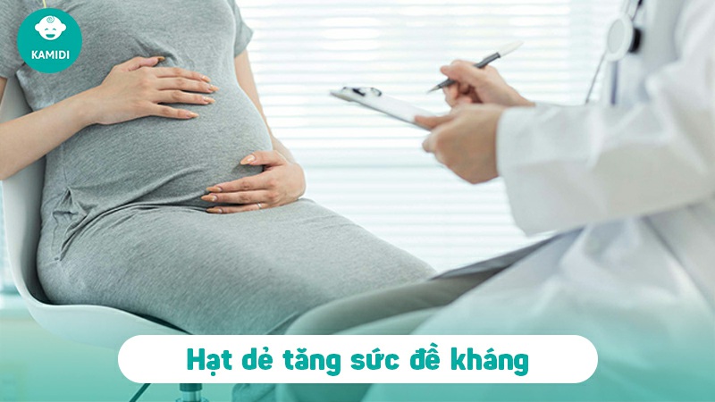 Bầu ăn hạt dẻ được không? Một số lưu ý khi ăn hạt dẻ mẹ bầu cần biết? 5 bau-an-hat-de-duoc-khong-4