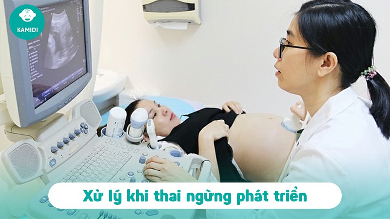 thai-ngung-phat-trien-3