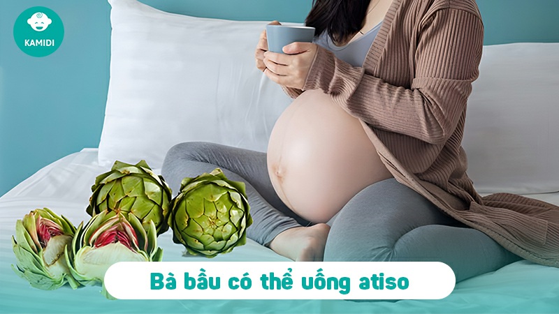 ba-bau-uong-atiso-duoc-khong-1