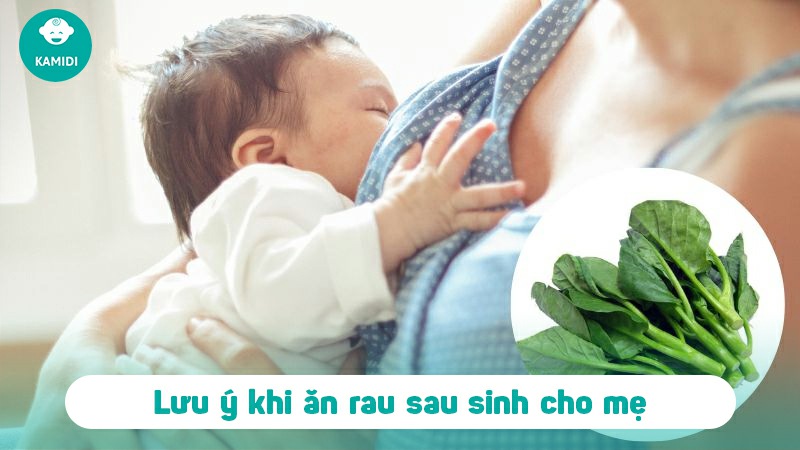 Những loại rau lợi sữa cho mẹ sau sinh không nên bỏ qua 8 nhung-loai-rau-loi-sua-cho-me-sau-sinh-7