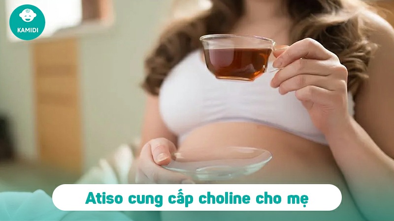 ba-bau-uong-atiso-duoc-khong-2