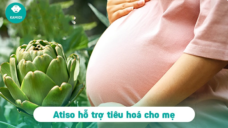 ba-bau-uong-atiso-duoc-khong-3