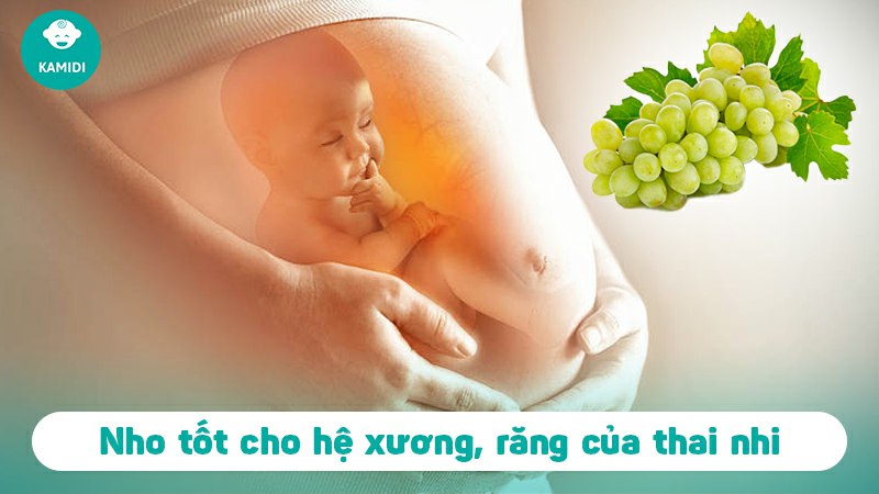 Bầu ăn nho được không? Lợi ích của nho đối với mẹ bầu và thai nhi 6 bau-an-nho-duoc-khong-5