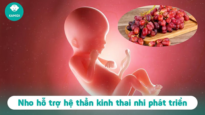 Bầu ăn nho được không? Lợi ích của nho đối với mẹ bầu và thai nhi 7 bau-an-nho-duoc-khong-6