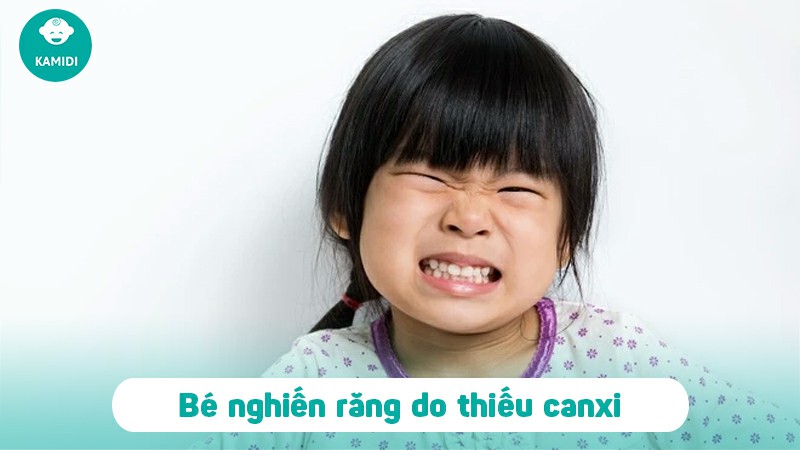 meo-chua-nghien-rang-o-tre-e-2