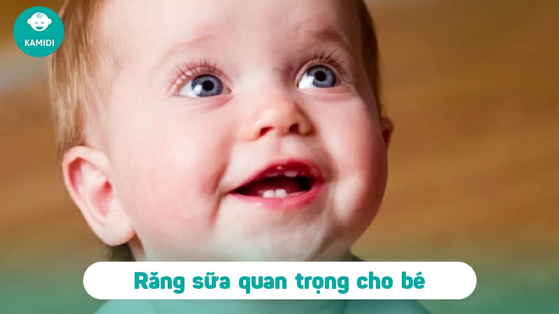 Răng sữa lung lay bao lâu thì nhổ? Cách nhổ răng sữa an toàn, không đau cho bé 2 rang-sua-lung-lay-bao-lau-thi-nho-1