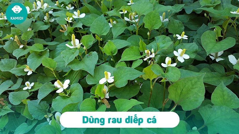 Mẹo chữa sốt siêu vi cho trẻ hiệu quả an toàn mà mẹ nên biết 6 meo-chua-sot-sieu-vi-cho-tre-5