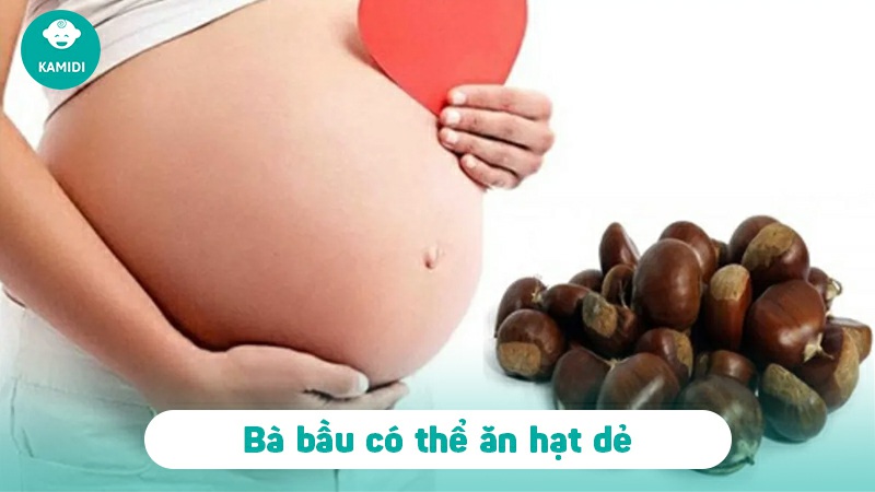 Bầu ăn hạt dẻ được không? Một số lưu ý khi ăn hạt dẻ mẹ bầu cần biết? 2 bau-an-hat-de-duoc-khong-1