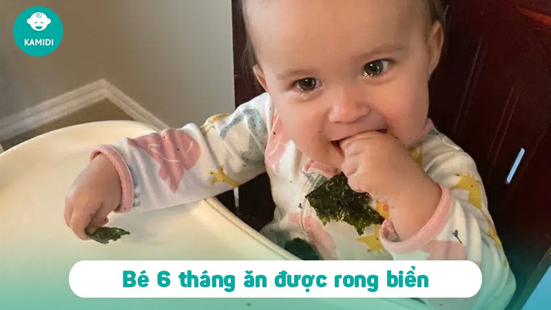 Cách làm rong biển cho bé ăn dặm không tanh và bổ dưỡng 2 rong-bien-cho-be-1
