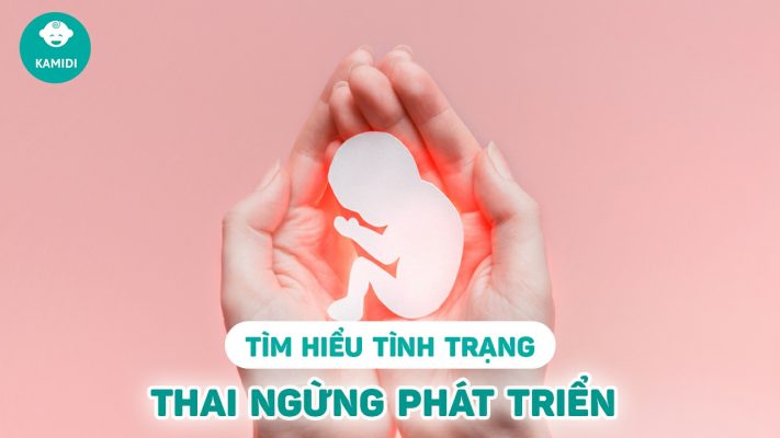 thai-ngung-phat-trien