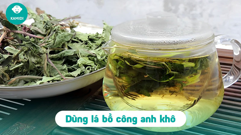 Cách chữa tắc tia sữa bằng bồ công anh hiệu quả 4 cach-chua-tac-tia-sua-bang-bo-cong-anh-3
