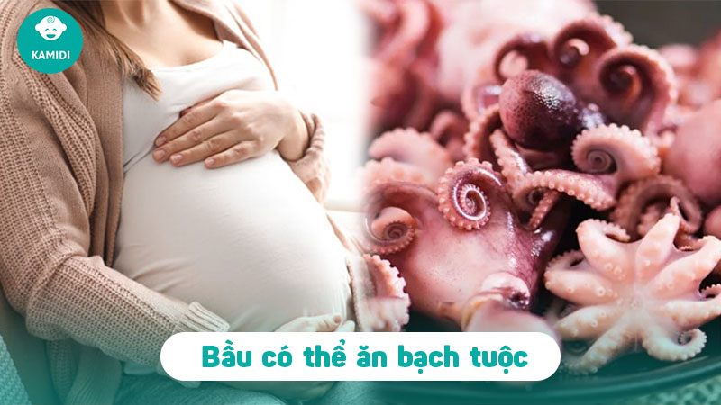bau-an-bach-tuoc-duoc-khong-1