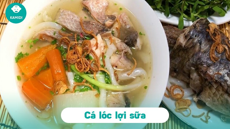 Bầu ăn cá lóc được không? Lợi ích khi bà bầu ăn cá lóc 4 bau-an-ca-loc-duoc-khong-3
