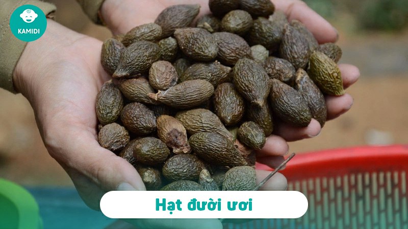 Bầu ăn hạt đười ươi được không? Mẹ bầu cần lưu ý gì khi ăn hạt đười ươi 2 tai-sao-tre-so-sinh-ngu-hay-ran-e-e-1