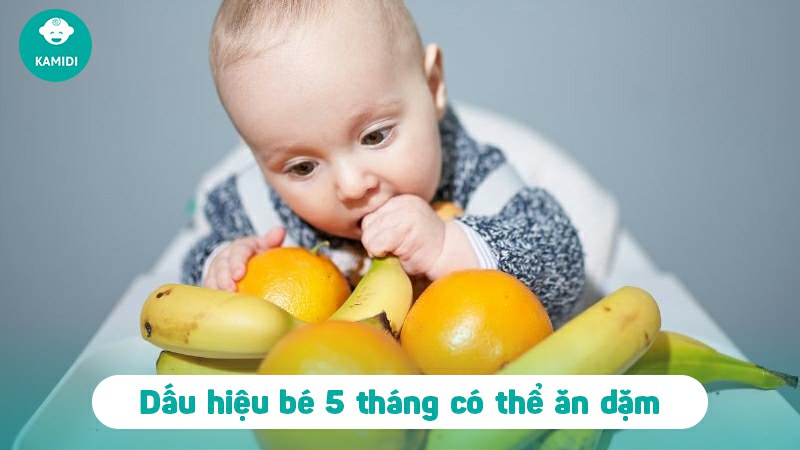 Bé 5 tháng ăn dặm được chưa? Cần lưu ý những gì khi cho bé ăn dặm 3 be-5-thang-an-dam-duoc-chua-2
