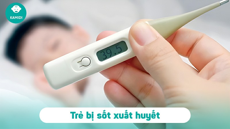 Triệu chứng sốt xuất huyết ở trẻ em là gì? Ba mẹ nên xử lý thế nào khi bé bị sốt xuất huyết 2 trieu-chung-sot-xuat-huyet-o-tre-em-1