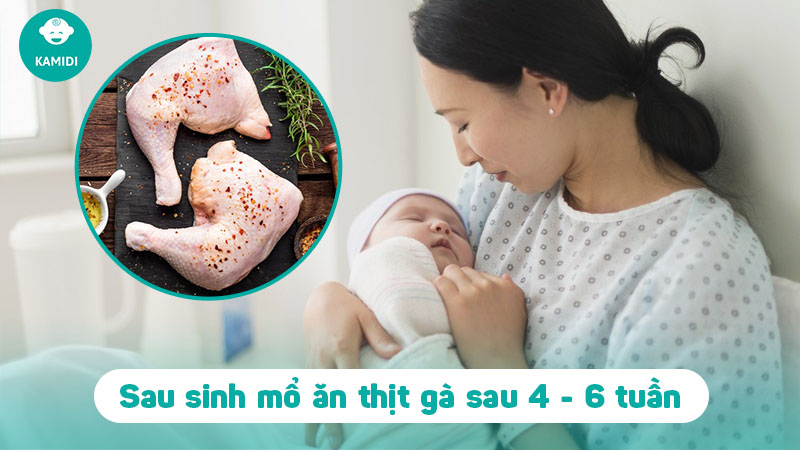 sinh-mo-bao-lau-thi-an-duoc-thit-ga-2