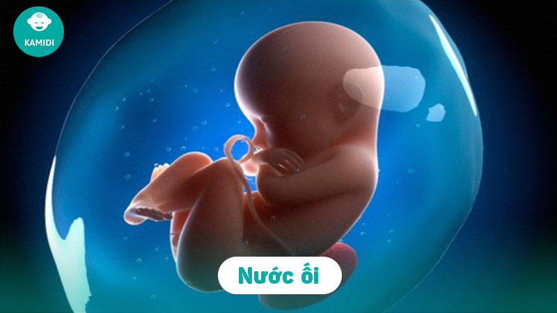 Mách mẹ cách nhận biết nước ối và huyết trắng chính xác nhất 3 cach-nhan-biet-nuoc-oi-va-huyet-trang-2