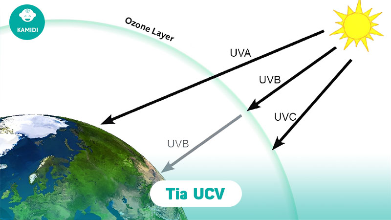 So sánh chi tiết máy tiệt trùng UV và UVC cho mẹ bỉm dễ chọn 3 so-sanh-chi-tiet-may-tiet-trung-uv-va-uvc-2