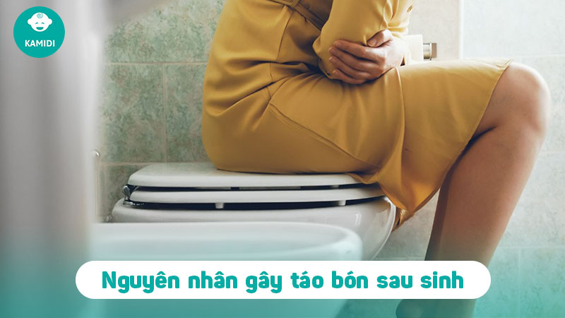 cach-tri-tao-bon-sau-sinh-1