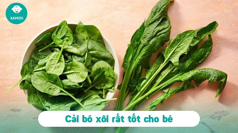 Hướng dẫn nấu cháo cải bó xôi cho bé ăn dặm thơm ngon giàu dinh dưỡng 2 chao-cai-bo-xoi-cho-be-1
