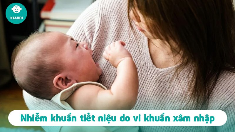 Cách chữa đi tiểu nhiều lần ở trẻ em hiệu quả, an toàn 3 cach-chua-di-tieu-nhieu-lan-o-tre-em-2