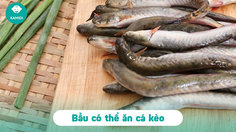 Bầu ăn cá kèo được không? Lợi ích của cá kèo với sức khỏe mẹ bầu 2 bau-an-ca-keo-duoc-khong-1