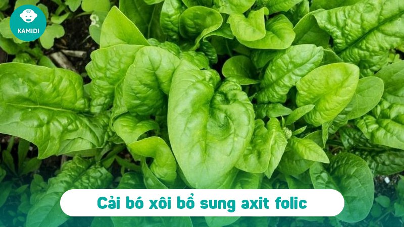 Bầu ăn cải bó xôi được không? Lợi ích khi ăn cải bó xôi dành cho mẹ bầu 4 bau-an-cai-bo-xoi-duoc-khong-3