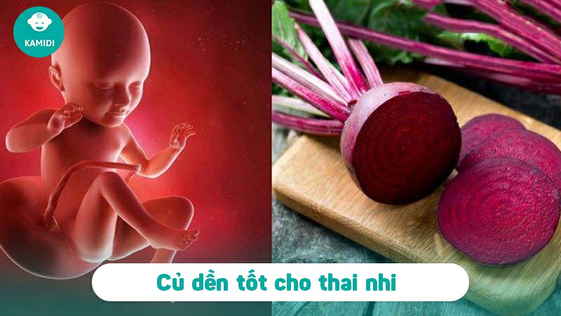 Bầu ăn củ dền được không? Lợi ích của củ dền đối với mẹ bầu 3 bau-an-cu-den-duoc-khong-2