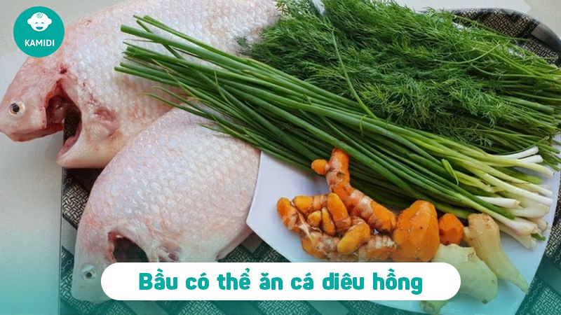 Bầu ăn cá diêu hồng được không? Lợi ích khi ăn cá diêu hồng cho mẹ bầu 2 bau-an-ca-dieu-hong-duoc-khong-1