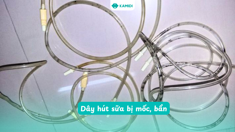 Khi dây hút có dấu hiệu ố vàng, mốc, bẩn, mẹ nên thay