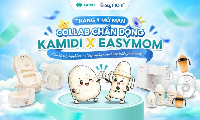 kamidi-x-easy-mom