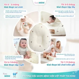 Gối chống trào Easy Mom với nhiều công dụng hữu ích